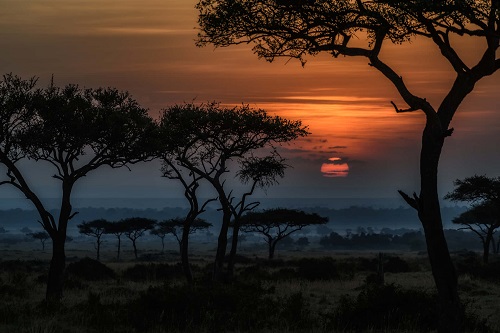 NamBurn Kalahari sunrise